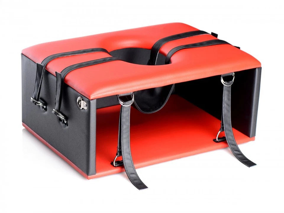 Master Series Queening Chair w/ Comfortable Cushion BDSM Bondage Sex Furniture